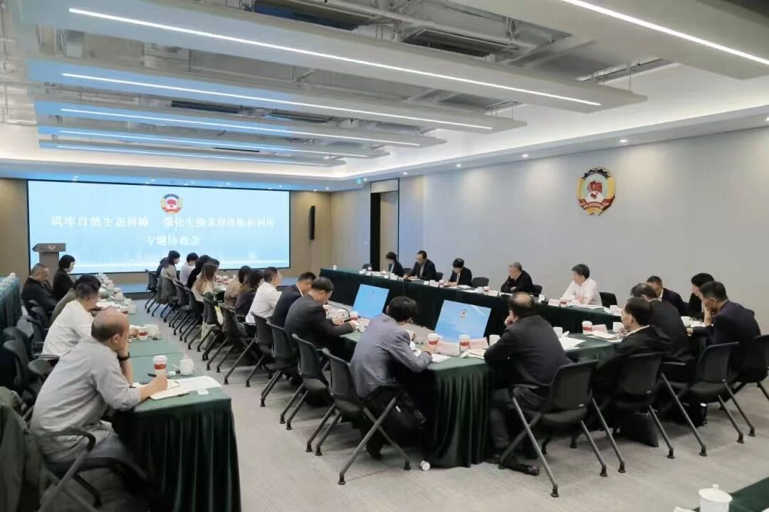 /uploads/image/2025/11/04/bhzrztxsh1.jpg /uploads/image/2025/11/04/bhzrztxsh1.jpg